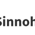 Sinnoh Tower cambia anche il logo con una collaborazione straordinaria