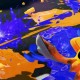 Splatoon Splatoon • Recensione