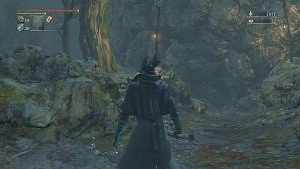 bloodborne echi infiniti