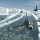 Ace Combat 7 – annuncio alla PlayStation Experience?